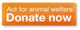 World Society for the Protection of Animals